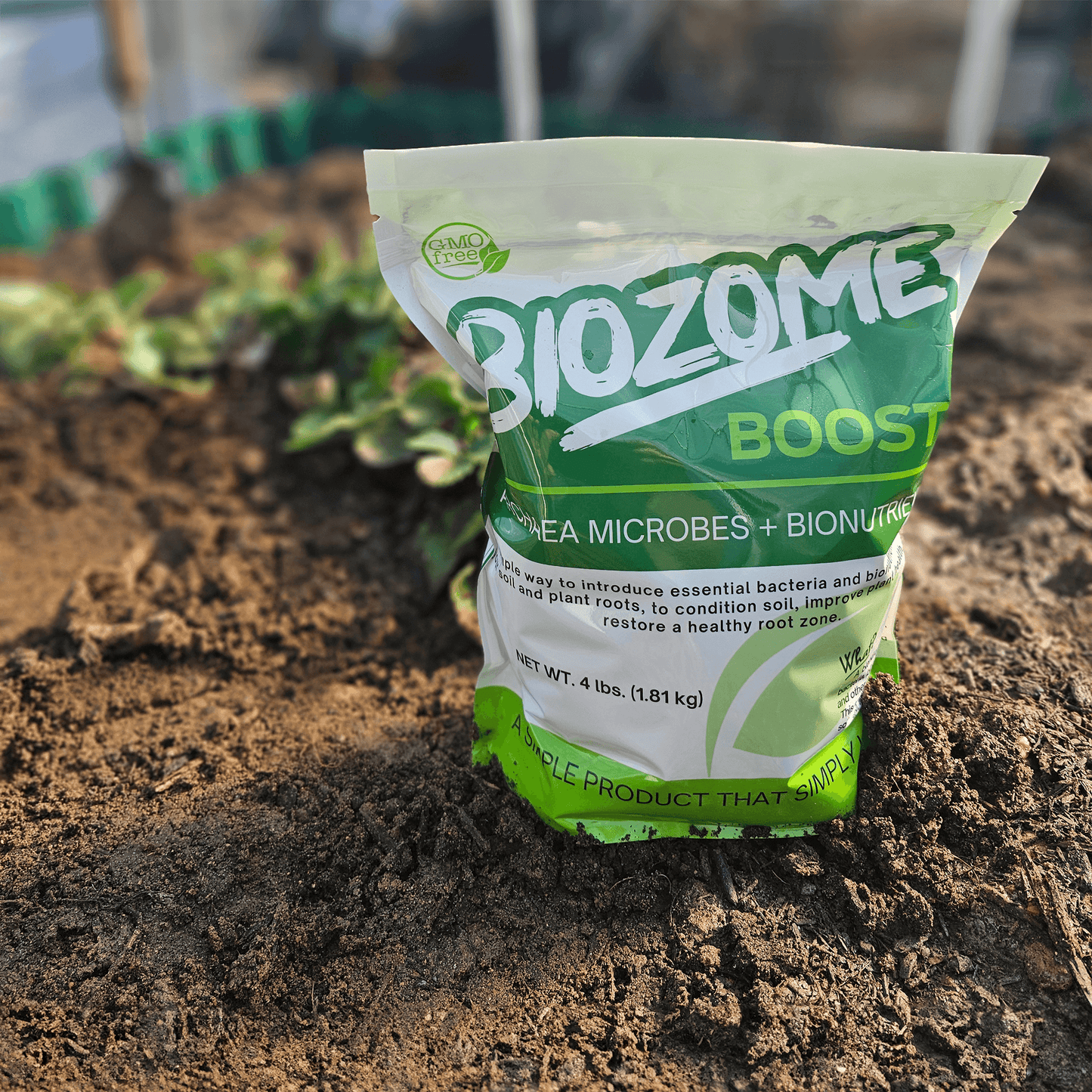 biozomeboost bag in strawberries