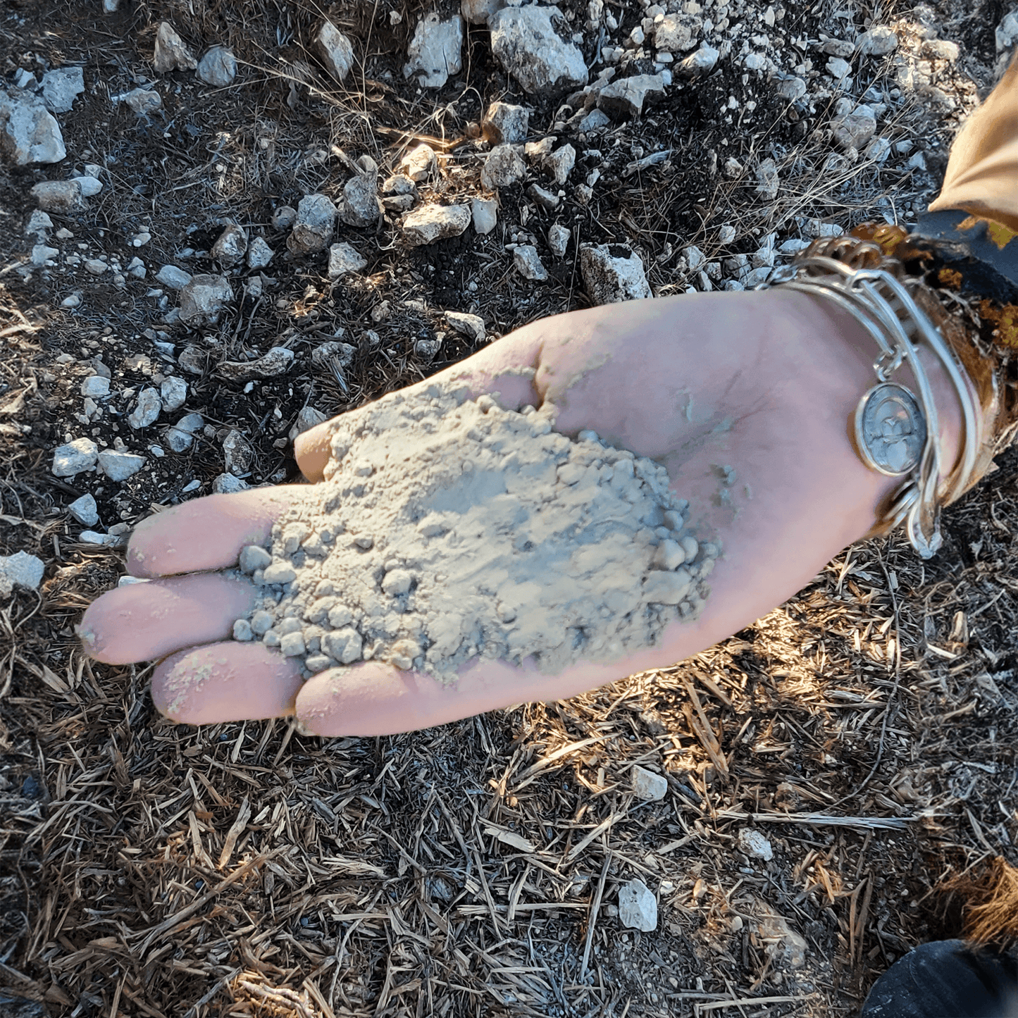 biozomeplus in the hand