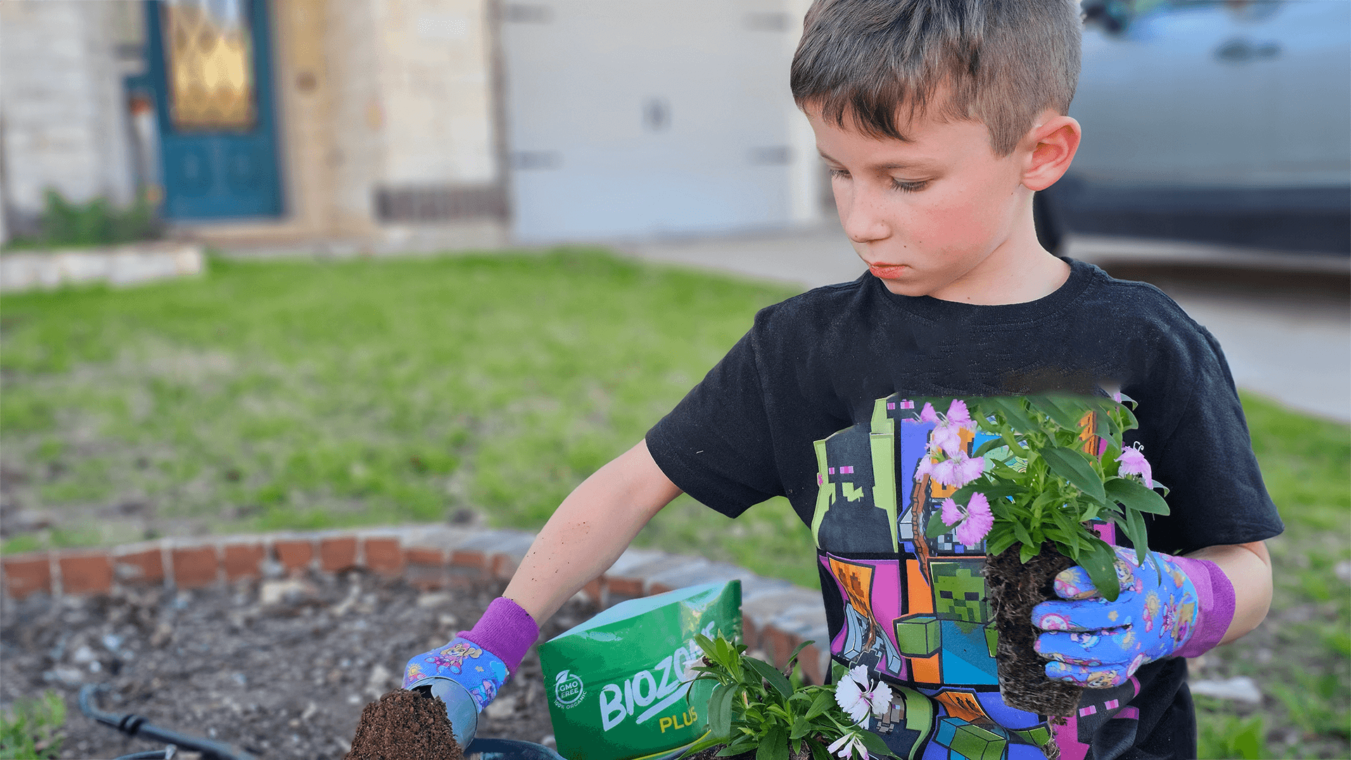 making a fairy garden