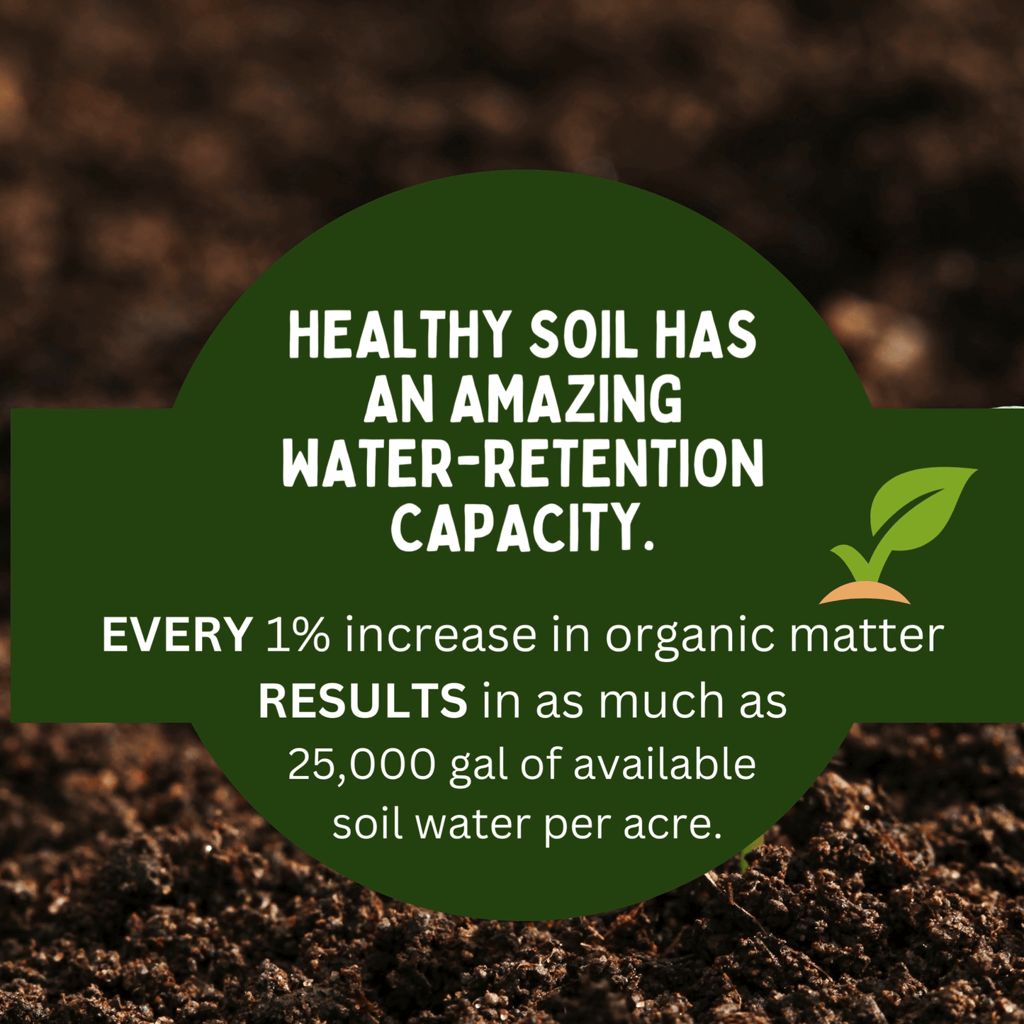 healthy soil