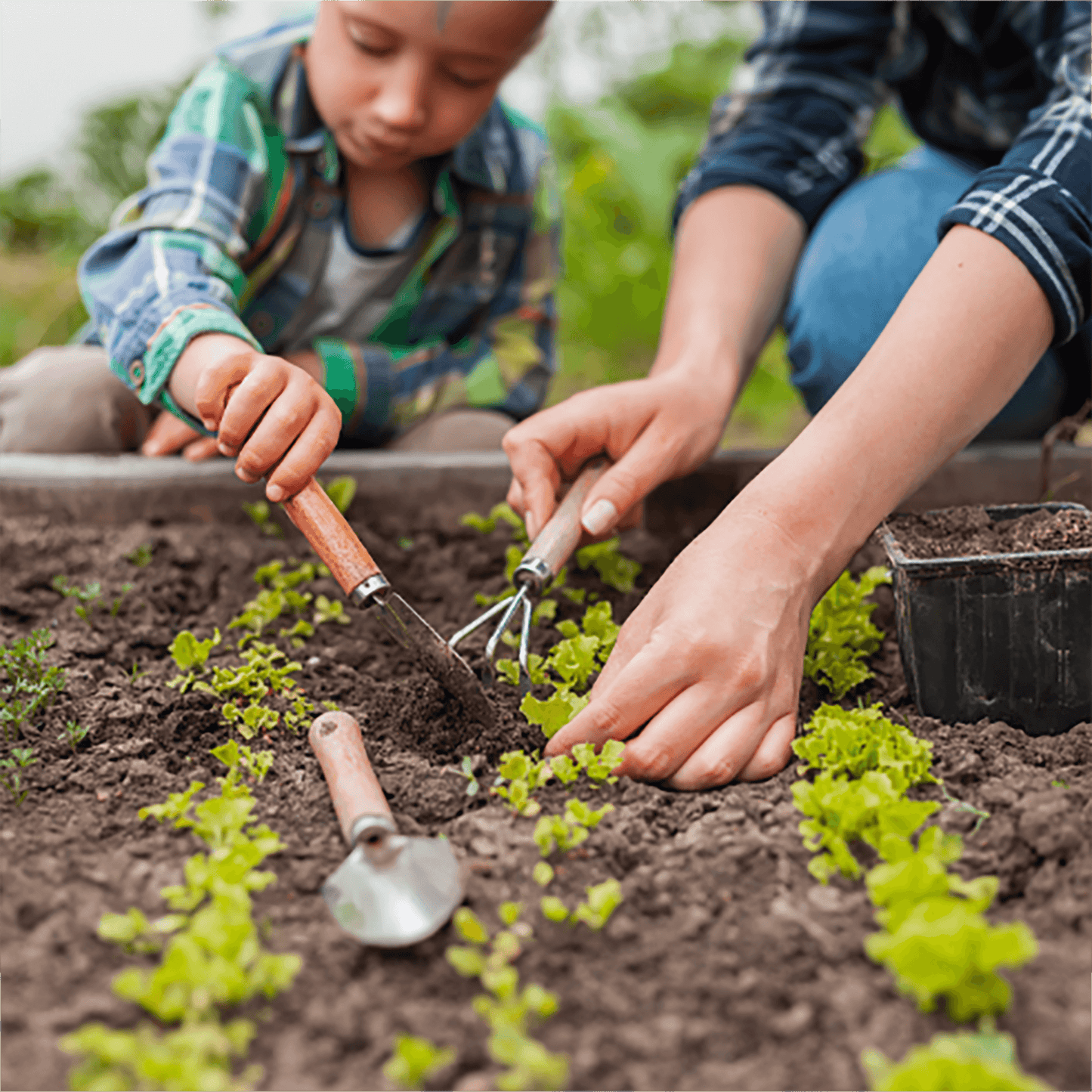 biozomeplus is safe around children