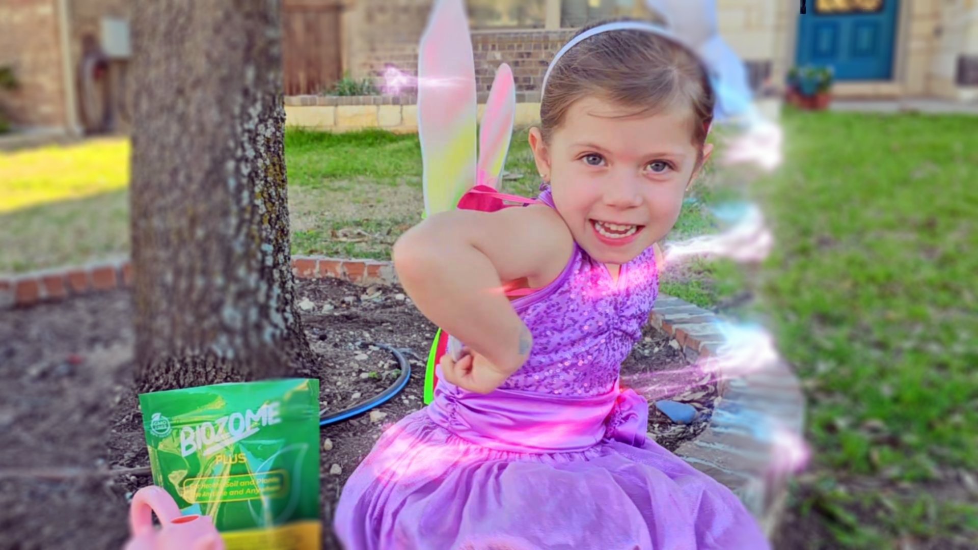 Load video: how to build a fairy garden